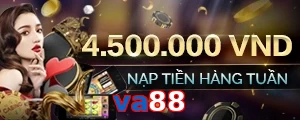 va88